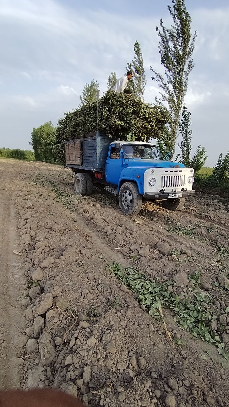 Gaz52 01 samasval