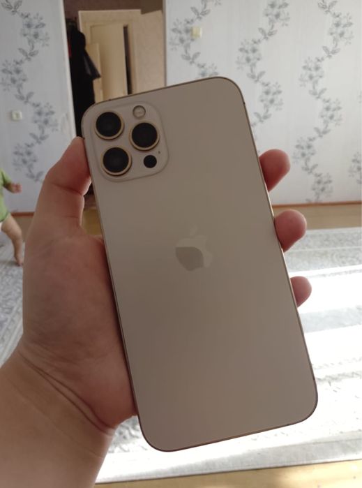 iPhone 12 pro max