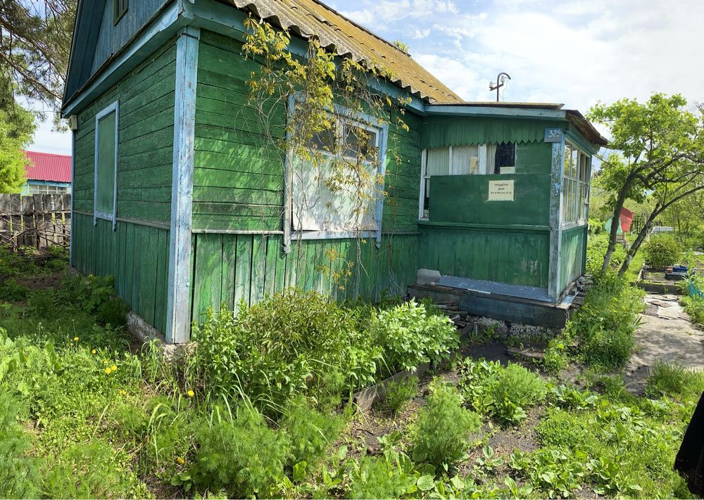 Дача в кооперативе Борки