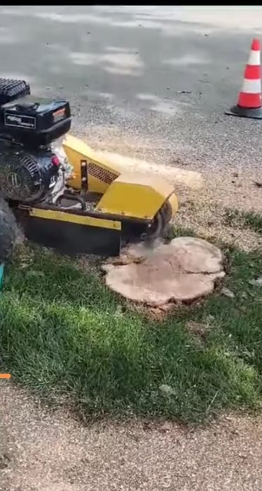 Frezare cioata, scos rădăcina, extirpare cioata