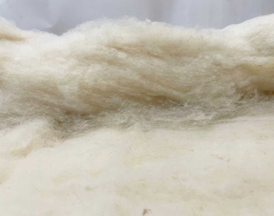 Lână spălată și cardată - ideală pentru împâslire și tors