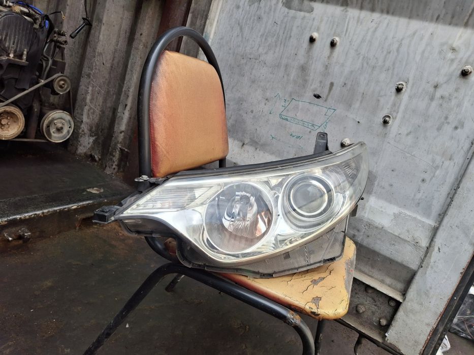 Естима фара. Цефира максима фара