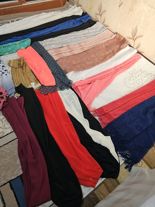 Romollar Shariflar bomba narxlada