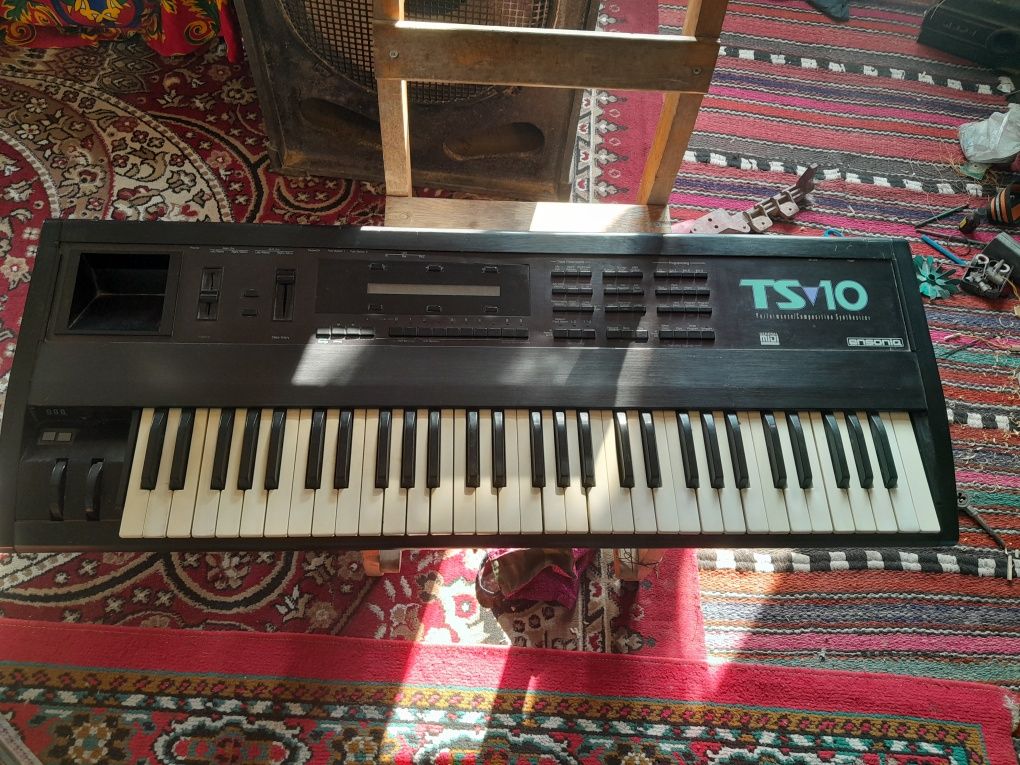 Ensonic ts 10 3.10 vrsya