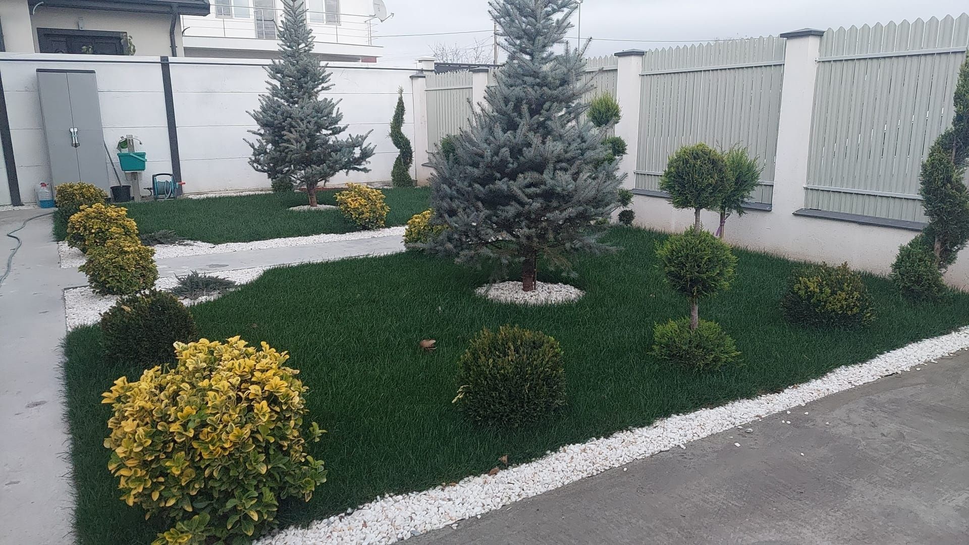 Amenajări grădini gazon și plante ornamentale