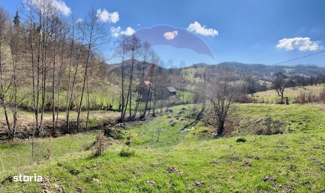 Teren 7,495mp Barsana