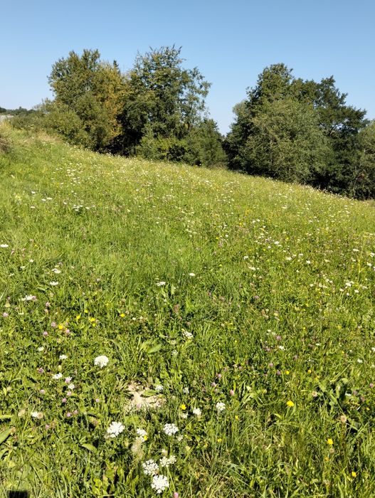 Teren localitatea Breb