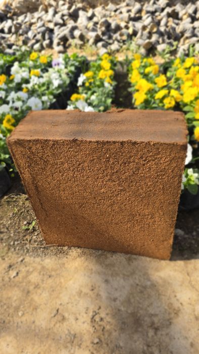 Кокос, Какосовый торф кирпич 5 кг кокопит Cocopeat