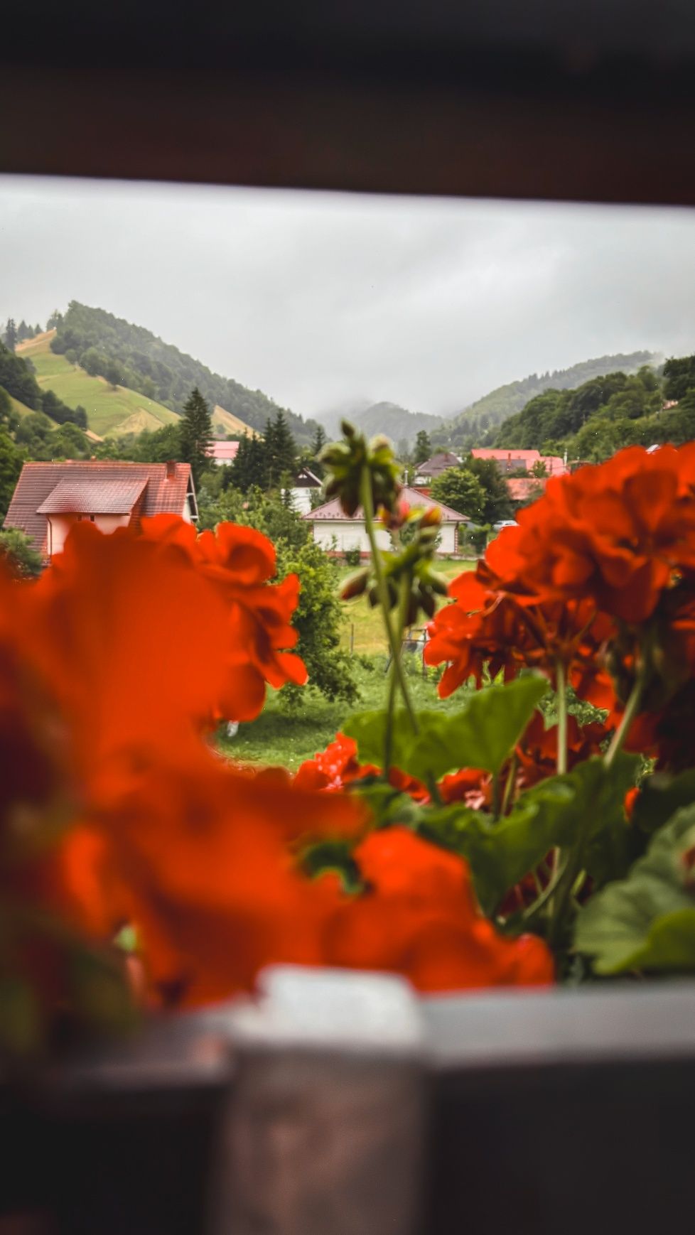 Vila de inchiriat in Bran