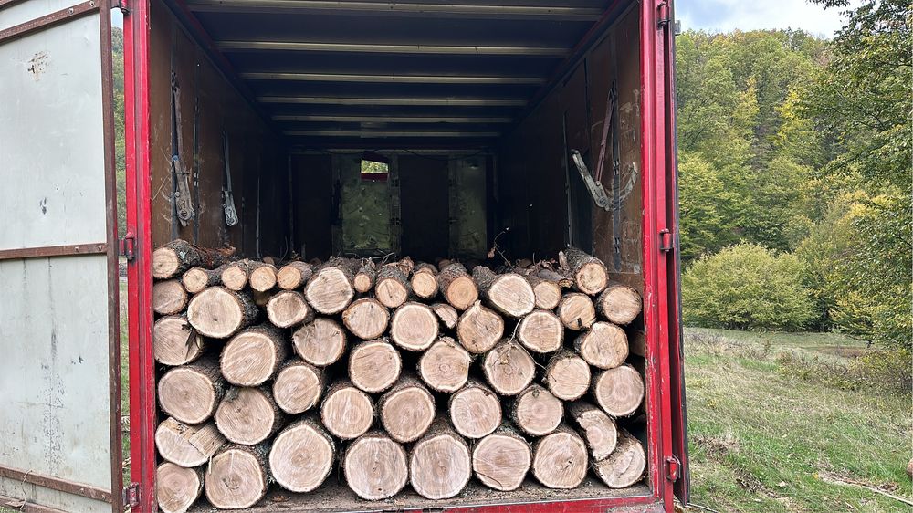 Lemn foc esenta tare fag carpen stejar salcam posibilitate transport