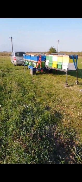 Remorca apicola  de vânzare