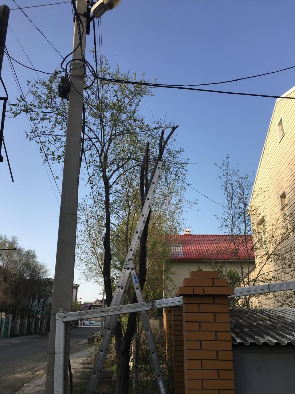 Обрезка деревьев в Атырау.