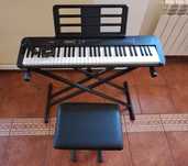 Orga electronica Casio CT-S300