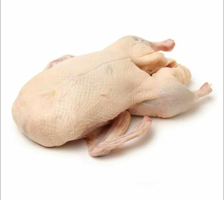 Гуси, Мясо гусей, без пеньков, опт