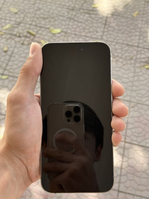 iPhone 14 Pro Max