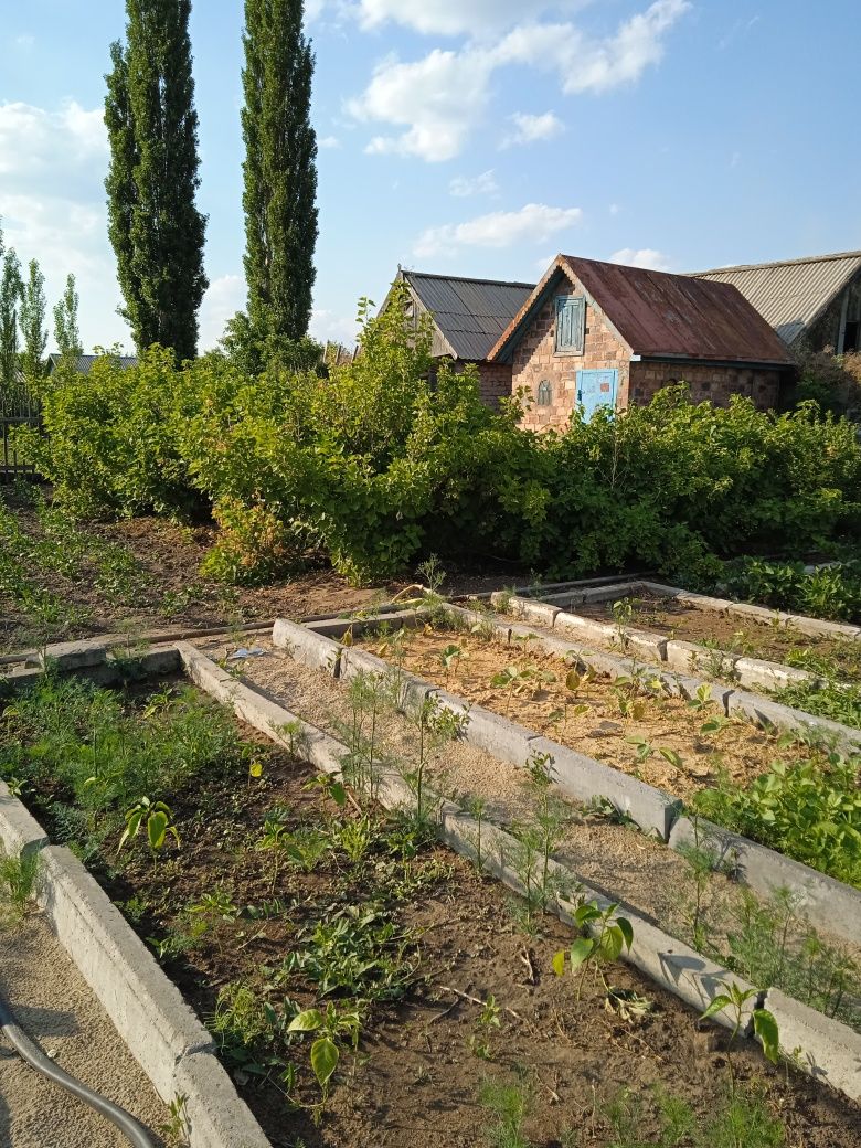 Продам дачу сад Южный рядом остановка шесть соток имеется свет баня.