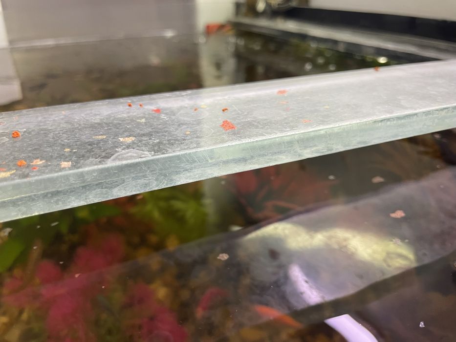 Acvariu cu capacitatea de 350L