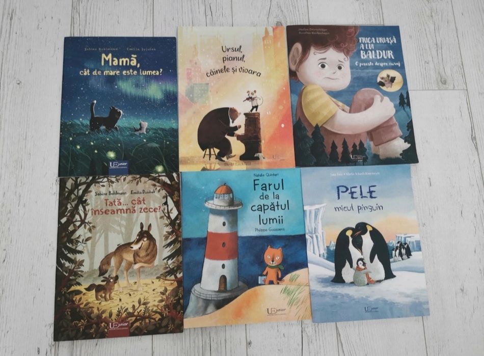 Lot 6 cărți copii