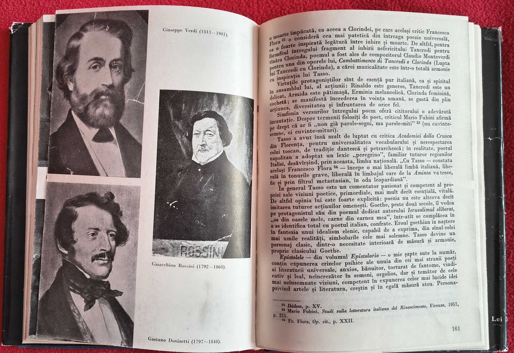 Civilizația Italiana