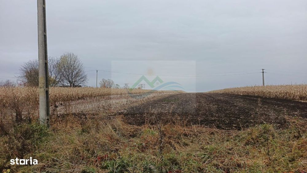 Teren de vânzare Vornicenii Mici/Moara/Suceava