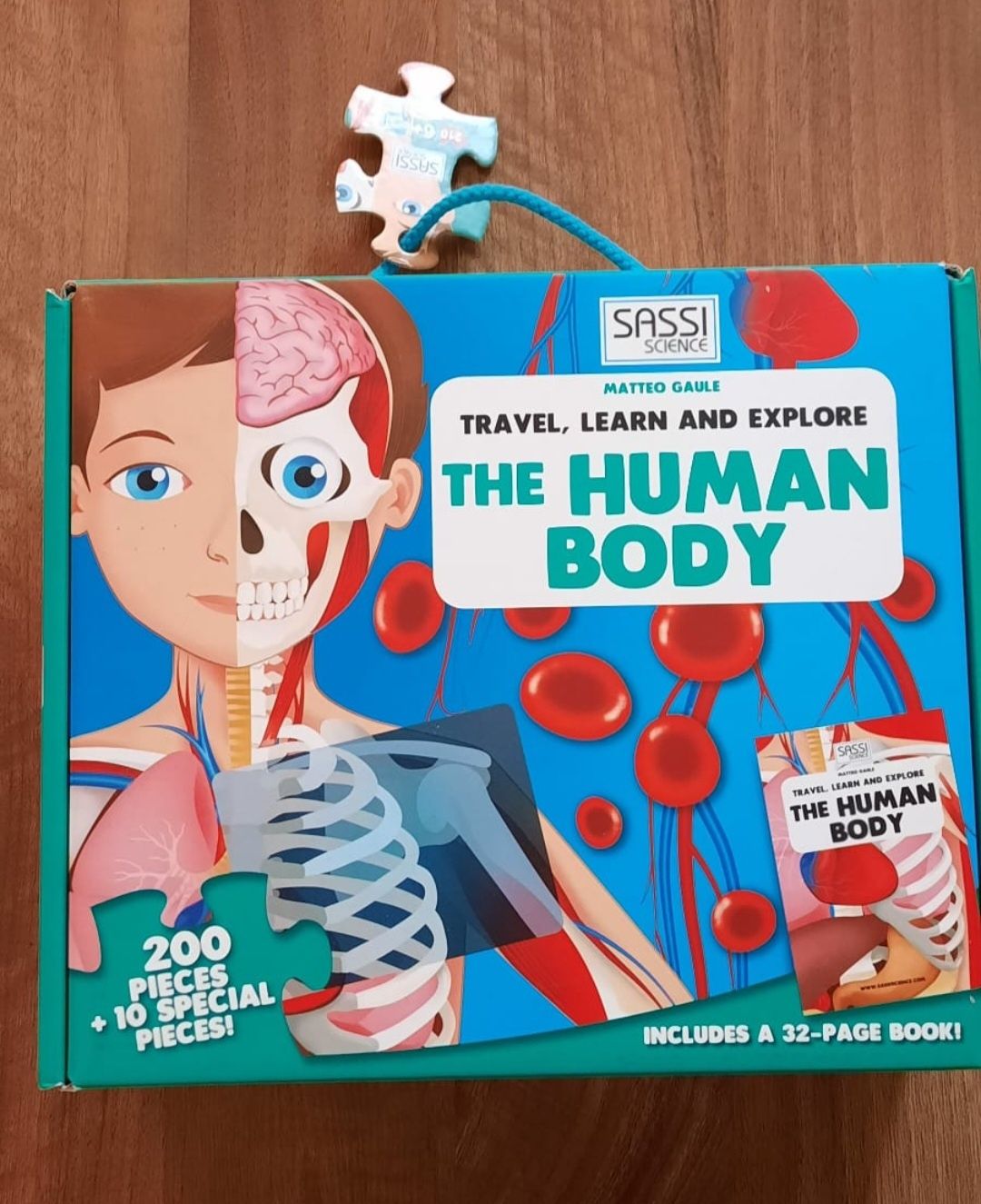 Puzzle corpul uman
