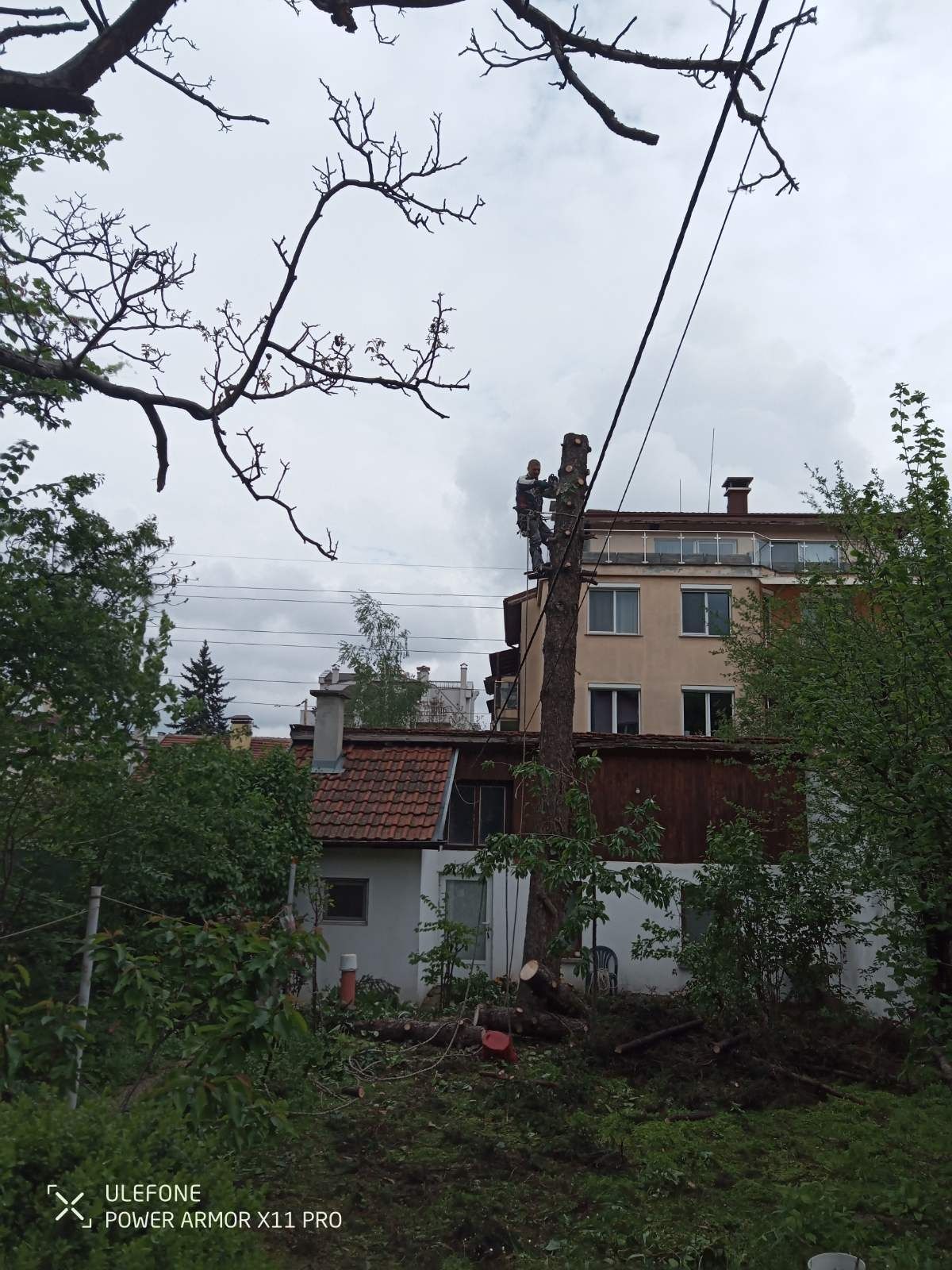 Косене на трева,градинарски услуги,озеленяване и поддръжка на дворове
