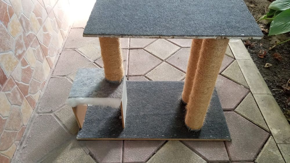 Ansamblu joaca pisici