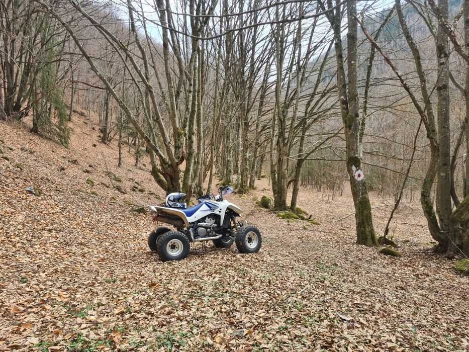 Atv sport Qad ltz400