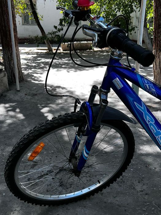 Спорт велик сотилади