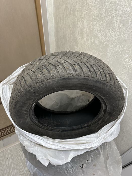 Шины зимние NEXEN