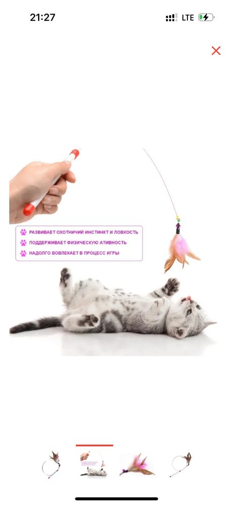 Дразнилка для котенка