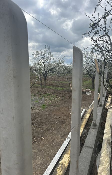 Spalieri vie / stâlpi beton