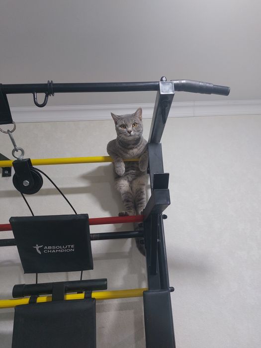 Продаю турник многофункциональны 20.000 тенге, фитнес резинки 2 по 250