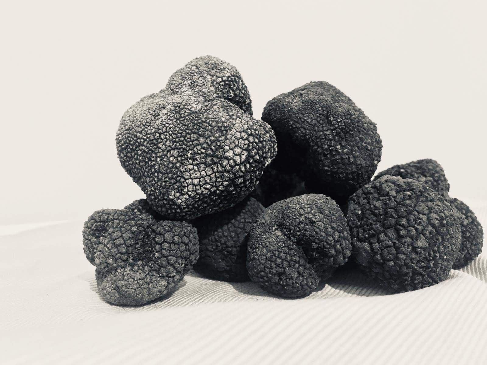 Трюфели(Tuber aestivum)