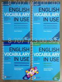 English vocabulary in use все уровни