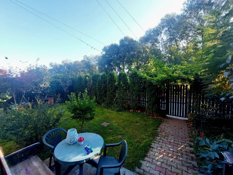 Ofer cazare animale de companie