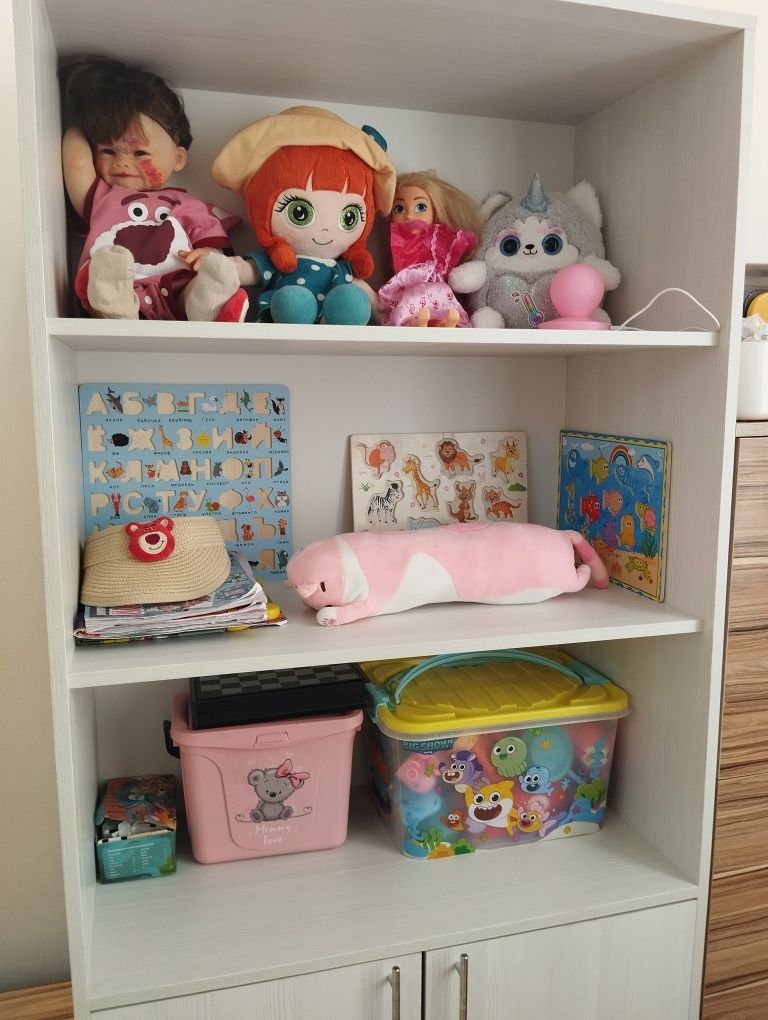 Шкаф для книг, игрушек и прочих вещей Астана