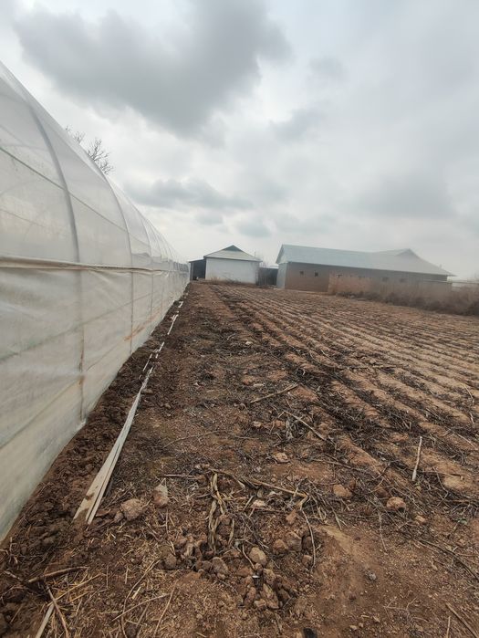 Yer sotiladi 5 sotix