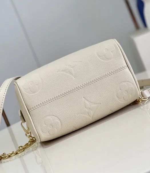 Louis Vuitton Speedy 20