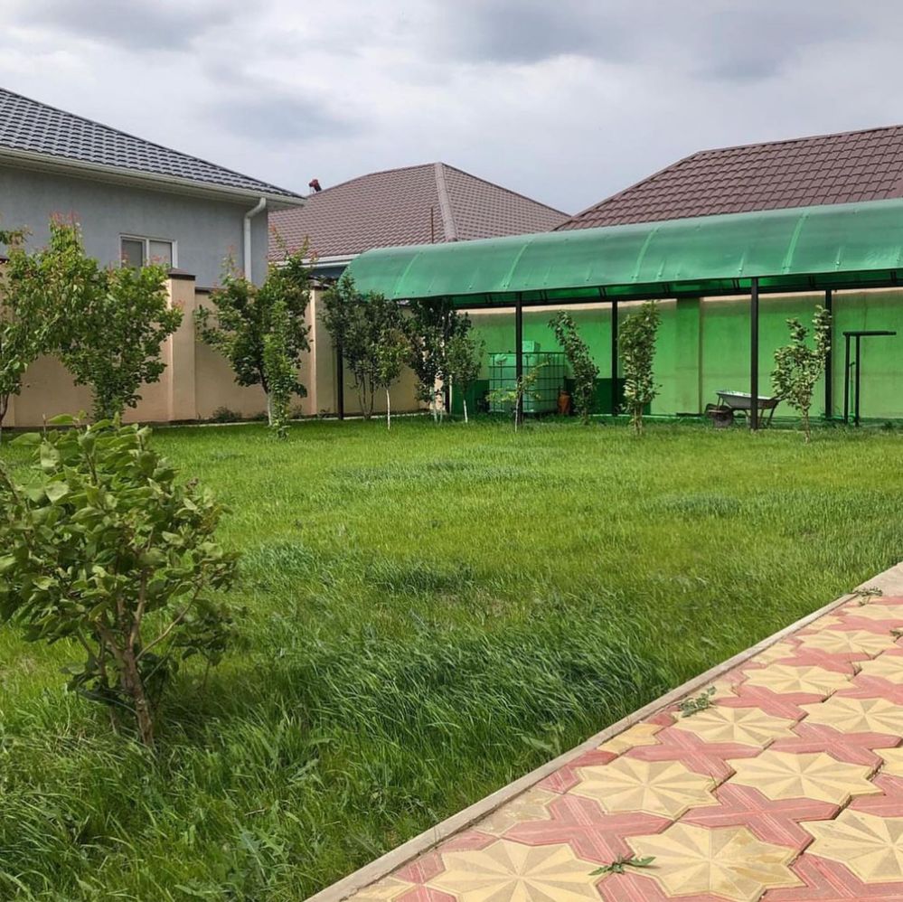 Посевной и рулонный газон под ключ !Самые низкие цены по городу Алматы