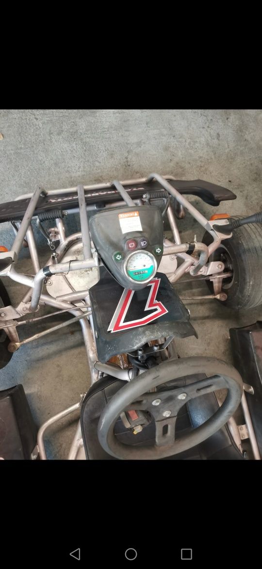 Kart/Cart F100 KREIDLER, benzina