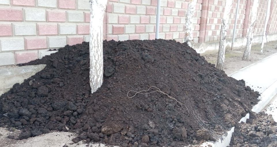 Перегной навоз с доставкаой