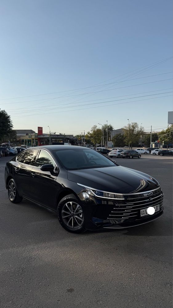 BYD chazor Gibrit
