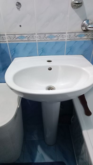 Тюльпан с зеркалом