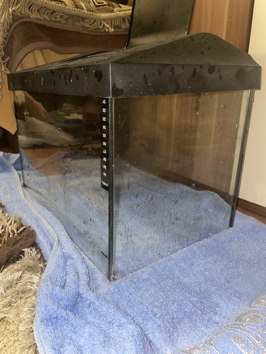 acvariu pesti volum 25