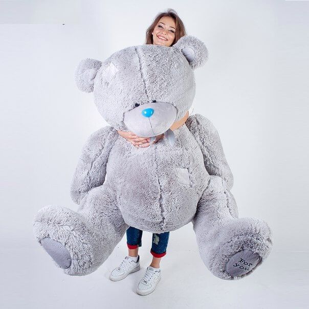 Teddy bear, Теди Мишка, Tediy Ayiq