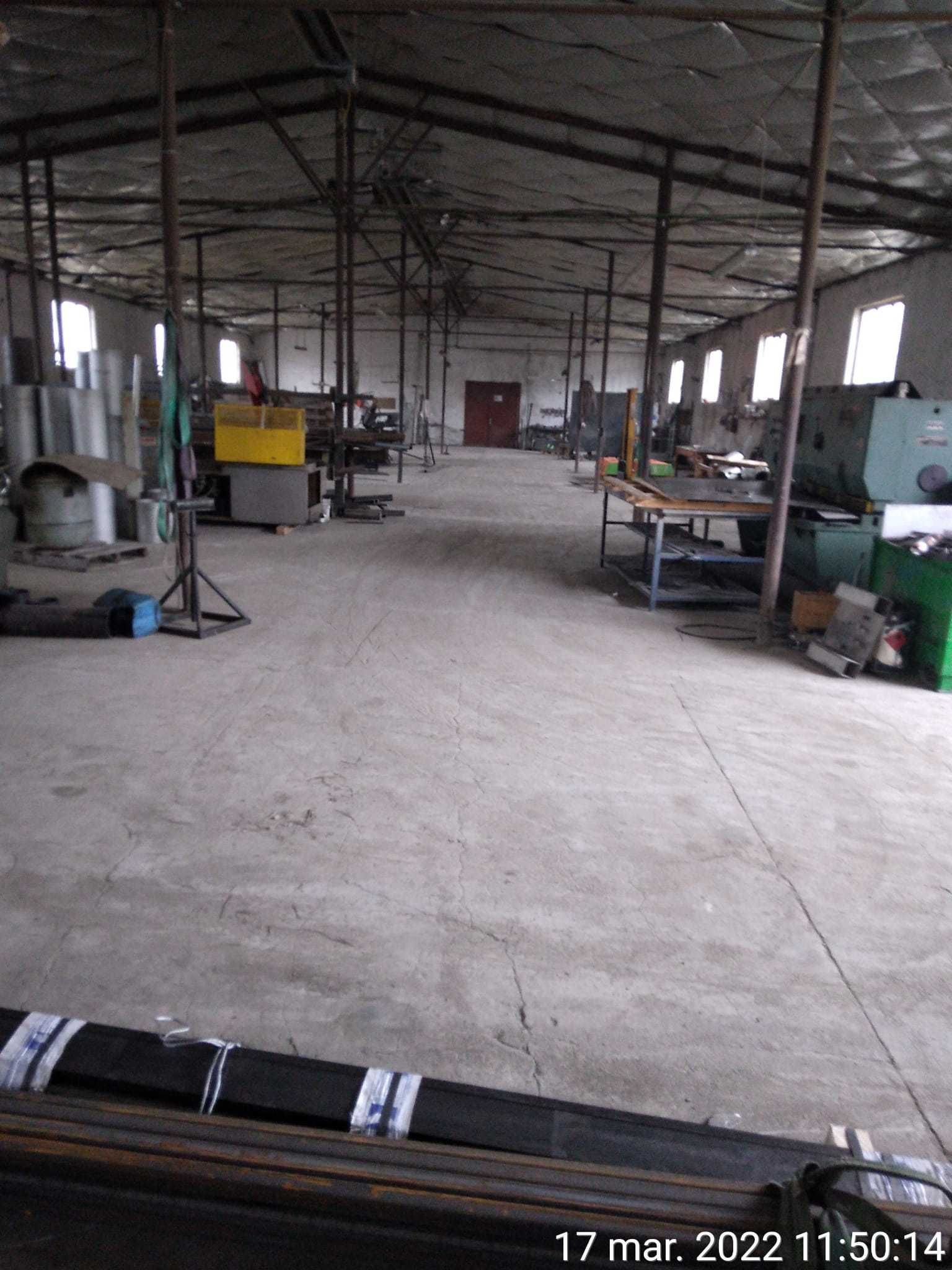 Vânzare / închiriere: 3 hale industriale - Cisnădie, Județul Sibiu