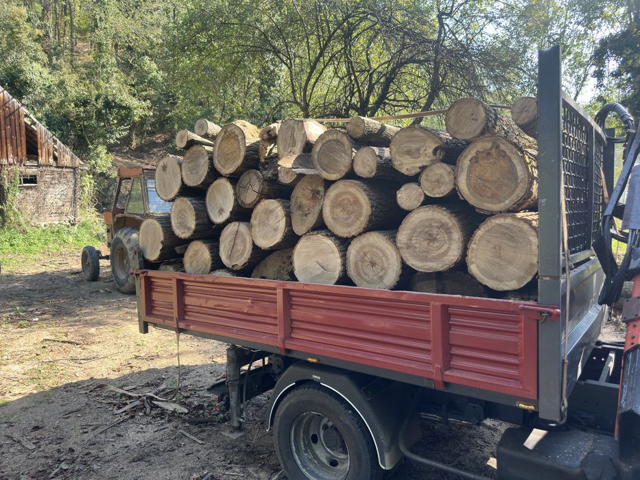 Lemn de foc esenta tare