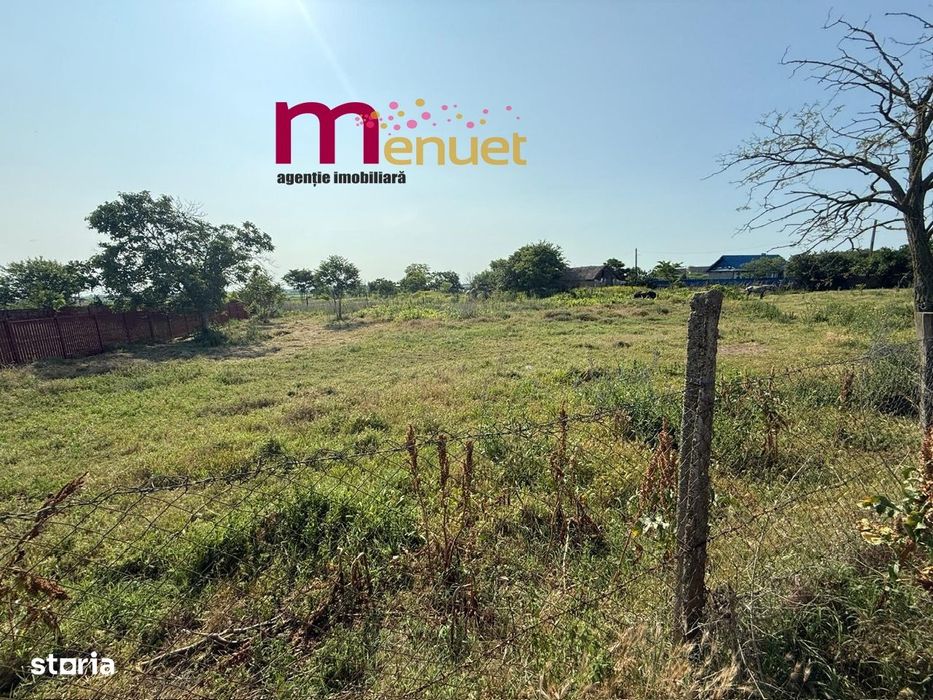 Teren 2900 mp, Dunavatu de Sus