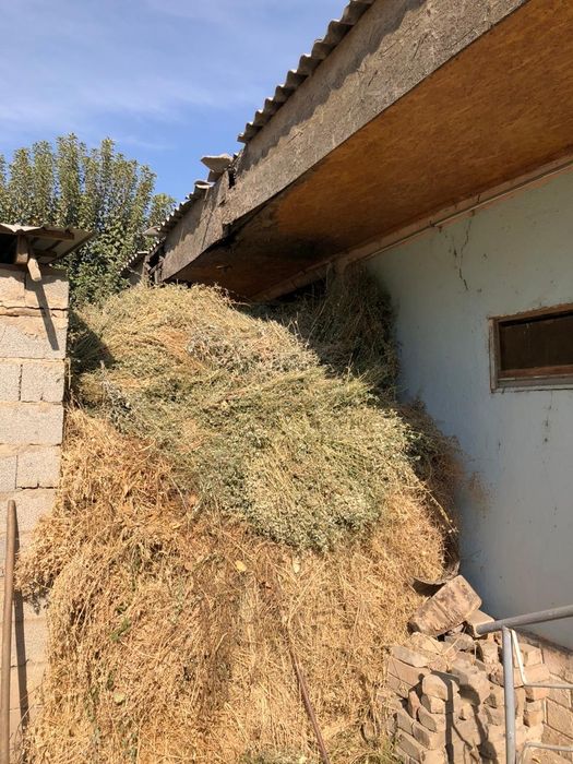 Жонышка самовывоз